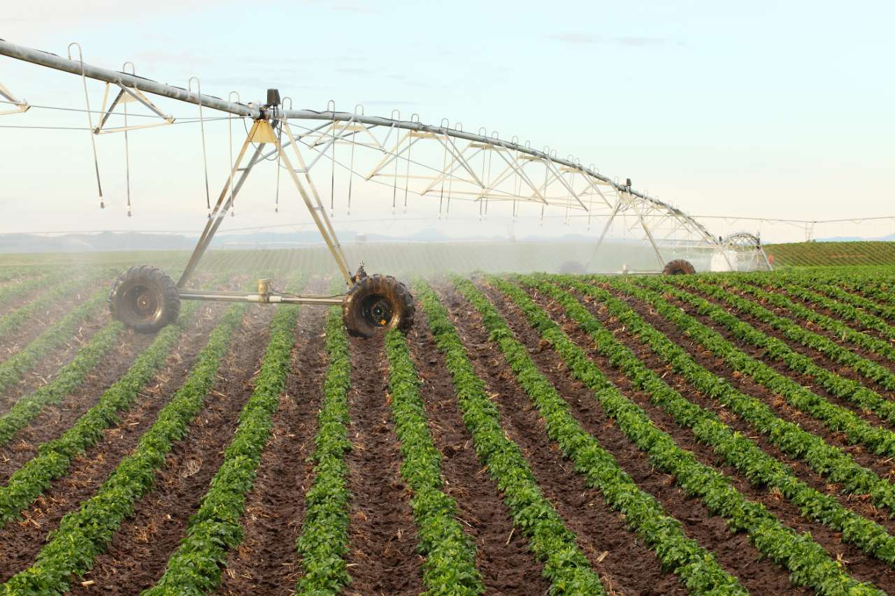 Surface irrigation methods | PPT